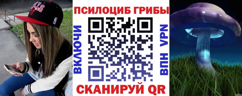 наркота  Сусуман  Галлюциногенные грибы прущие грибы 